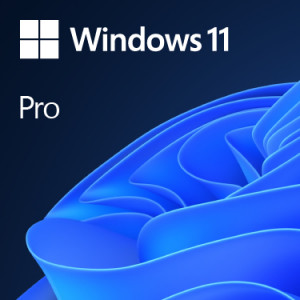 Microsoft Windows 11 Pro 64bit EN DVD OEM (FQC-10528)