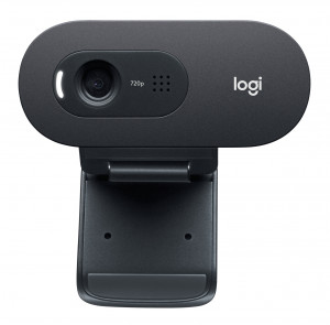 Kamera LOGITECH C505E HD Webcam Black