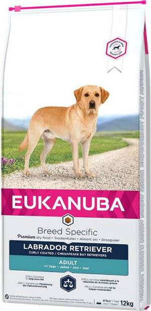 EUKANUBA Adult Labrador Retriever - sucha karma dla psa - 12 kg