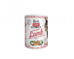 BRIT Care Cat Snack Superfruits Lamb - przysmak dla kota - 100 g