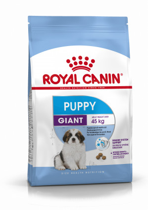 ROYAL CANIN SHN Giant Puppy - sucha karma dla szczeniąt - 15 kg