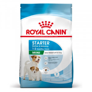ROYAL CANIN SHN Mini Starter Mother & Babydog - sucha karma dla psa - 4 kg