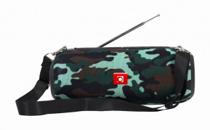 GEMBIRD PRZENOŚNY GŁOŚNIK BLUETOOTH Z RADIEM, MORO