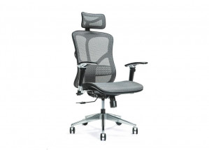 Ergonomiczny fotel biurowy ERGO 500 szary