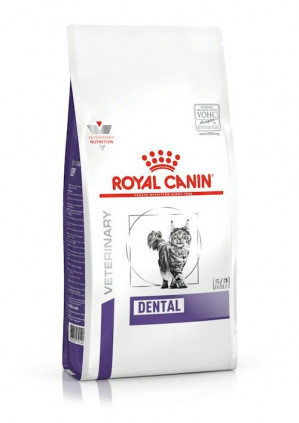 ROYAL CANIN Dental - sucha karma dla kota - 1,5kg