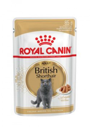 ROYAL CANIN British Shorthair pakiet 12x85g