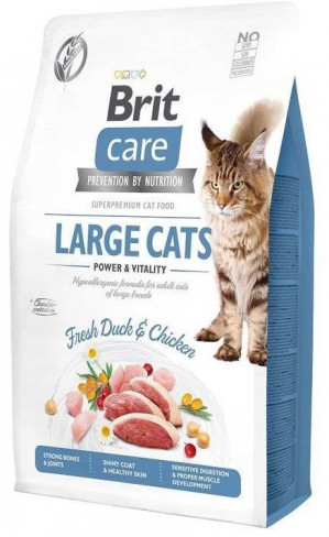 BRIT Care Grain-Free Adult Power&Vitality Large Cats - sucha karma dla kota - 2 kg