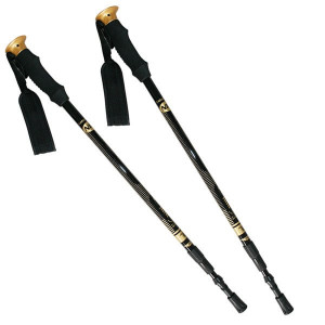 Kije trekking/Nordic Walking 50% CARBON NILS NW-TK19