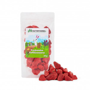 FACTORY HERBS Truskawki liofilizowane - przysmak dla gryzoni i królika - 20g