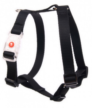Szelki Guard – Czarne 20mm, 30-50cm