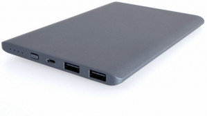 PowerNeed Powerbank (10000mAh) 2x USB grafitowy