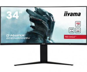MONITOR IIYAMA LED 34
