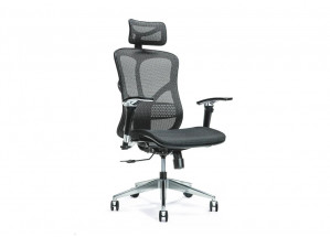 Ergonomiczny fotel biurowy ERGO 500 czarny