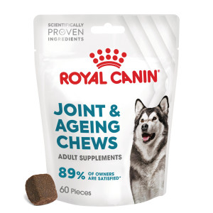 ROYAL CANIN Supplements Dog Joint & Ageing Adult - suplementy dla psa - 240g