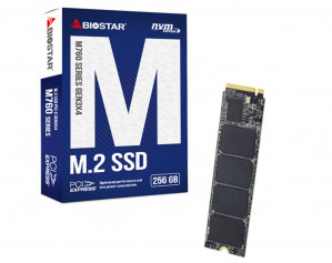 Dysk SSD BIOSTAR M760 256GB (SA122PME36)