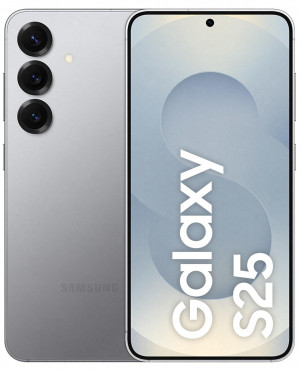 Samsung Galaxy S25 (S931) 5G 12/256GB DS Silver Shadow