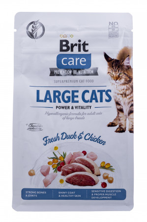 BRIT Care GF Power&Vitality Large dla kota 400g
