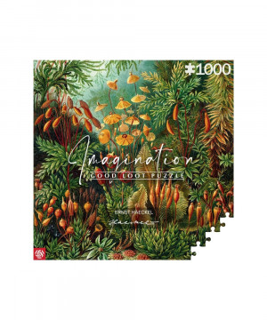 Puzzle Good Loot 1000 Imagination Ernst Haeckel Muscinae