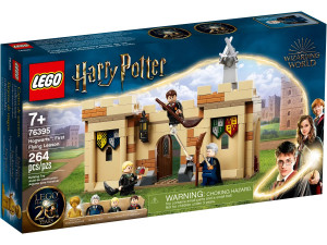 LEGO Harry Potter 76395 Hogwart: Pierwsza lekcja latania