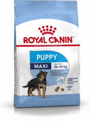 ROYAL CANIN SHN Maxi Puppy - sucha karma dla szczeniąt - 4 kg