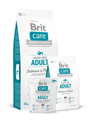 BRIT Care Grain-free Adult Salmon & Potato 1kg