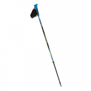 Kije Viking Ruten Pro Nordic Walking 83-135 cm nieb/limonka