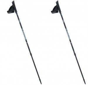 Kije Viking Valo Pro Nordic Walking czarno/srebrne
