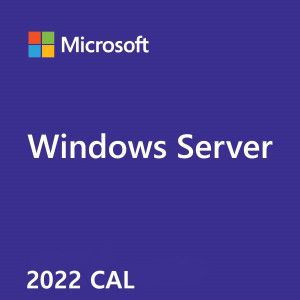 50-pack of WS 2022/2019 User CALs