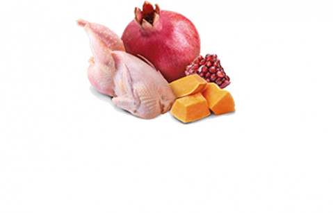 FARMINA N&D Pumpkin Quail & Pumpkin - mokra karma dla psa - 285g - Galeria zdjęcie 2