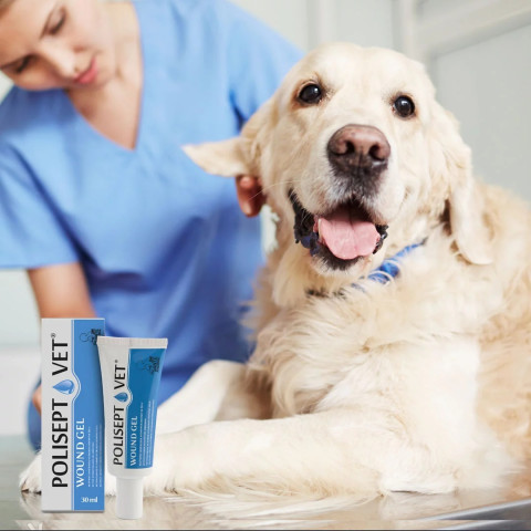 JM SANTE Polisept Vet Wound gel - żelowy opatrunek dla psa i kota - 30 ml - Galeria zdjęcie 3