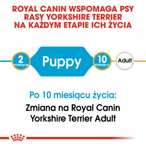ROYAL CANIN BHN Yorkshire Puppy - sucha karma dla szczeniąt - 1,5 kg - Galeria zdjęcie 5