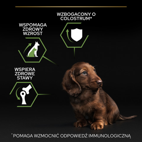 PURINA PRO PLAN Puppy Small & Mini - sucha karma dla szczeniąt - 7kg - Galeria zdjęcie 3