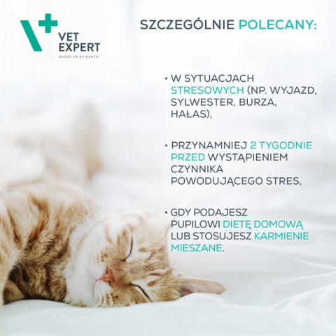 VET EXPERT Calm&Relax - preparat na objawy stresu dla psów i kotów - 30 kaps. - Galeria zdjęcie 3