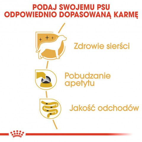 ROYAL CANIN BHN Yorkshire Terrier Adult - mokra karma dla psa dorosłego - 12x85 g - Galeria zdjęcie 7