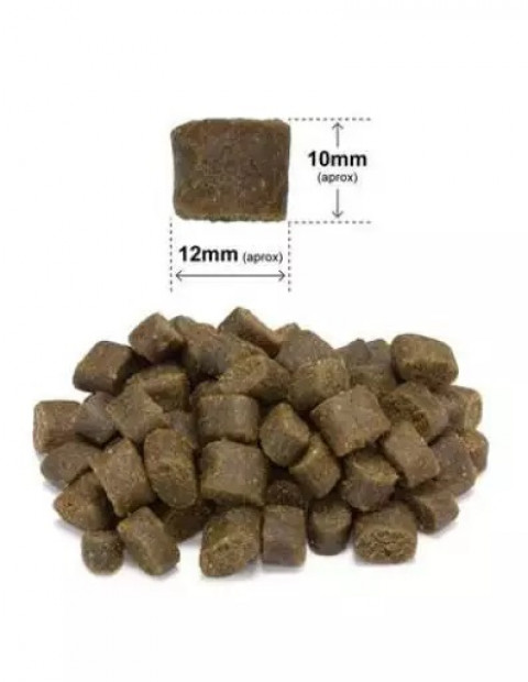 ARQUIVET Fresh Łosoś z indykiem - półwilgotna karma dla psa - 10 kg - Galeria zdjęcie 2