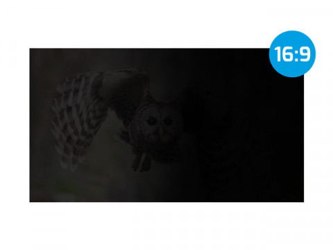 NATEC FILTR PRYWATYZUJĄCY OWL 27" 16:9 - Galeria zdjęcie 8
