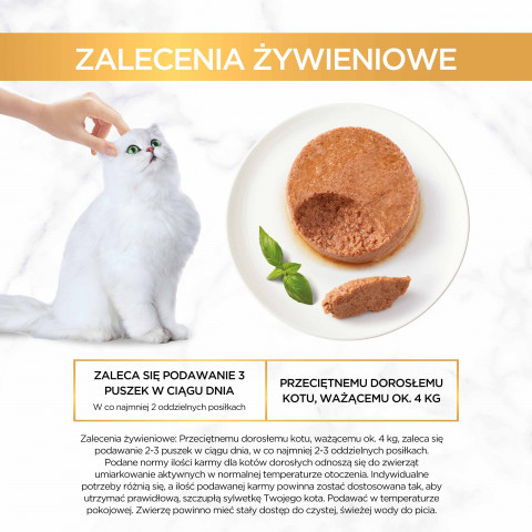 Gourmet Gold MIX SMAKÓW MIĘSNYCH - mokra karma dla kota - 24x85 g - Galeria zdjęcie 21