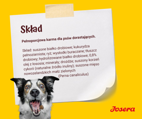 JOSERA Kids - sucha karma dla psa - 12,5kg + GRATIS - Galeria zdjęcie 10
