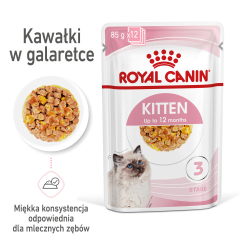 Royal Canin FHN Kitten Instinctive w galaretce - mokra karma dla kociąt - 12x85 g - Galeria zdjęcie 7