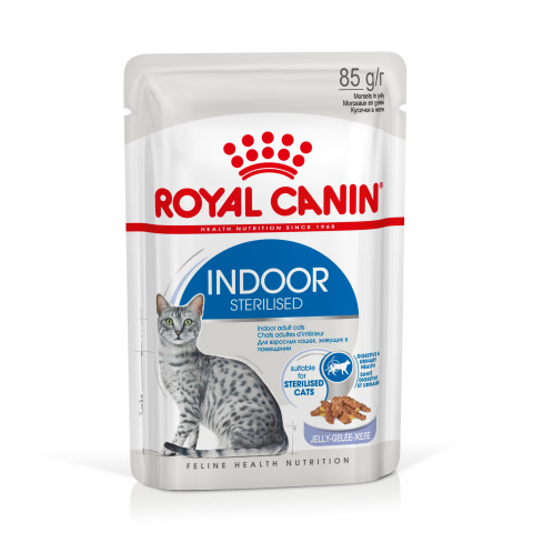 ROYAL CANIN FHN Indoor w galaretce - mokra karma dla kota dorosłego - 12x85 g - Galeria zdjęcie 1