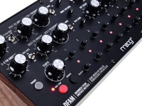 MOOG DFAM [Drummer From Another Mother] - Syntezator Analogowy - Galeria zdjęcie 6