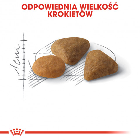 ROYAL CANIN Savour Exigent Adult - sucha karma dla kota - 400g - Galeria zdjęcie 8