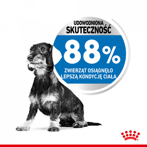 Royal Canin CCN MINI LIGHT WEIGHT CARE - sucha karma dla psa dorosłego - 3kg - Galeria zdjęcie 3