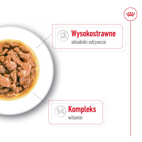ROYAL CANIN SHN Mini Adult w sosie - mokra karma dla psa - 12x85 g - Galeria zdjęcie 7