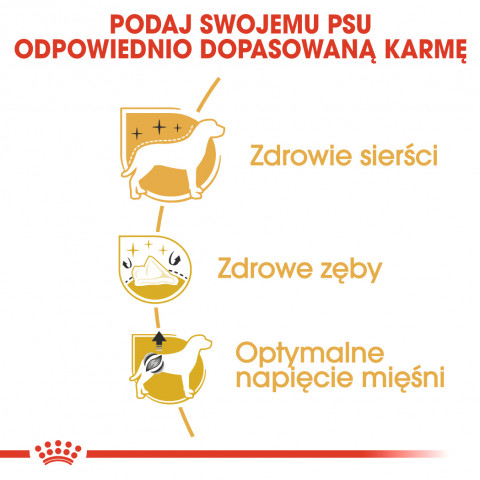 ROYAL CANIN Poodle 1,5kg - Galeria zdjęcie 8