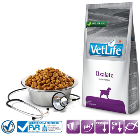 FARMINA Vet Life Oxalate Canine - sucha karma dla psa - 2kg - Galeria zdjęcie 2