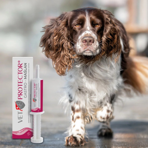 VET PROTECTOR Maślan One - suplementy dla psa i kota - 60ml - Galeria zdjęcie 3