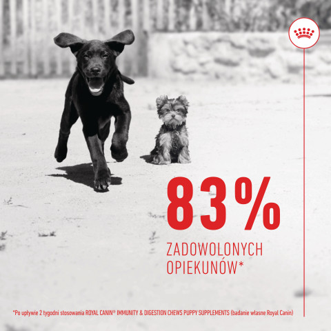 ROYAL CANIN Supplements Dog Immunity & Digest Puppy - suplementy dla psa - 100g - Galeria zdjęcie 9