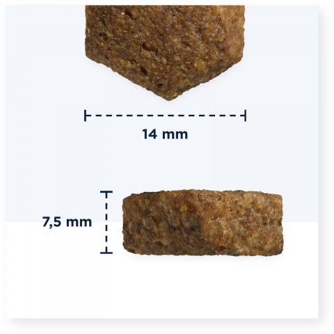 EUKANUBA Veterinary Diets Dermatosis FP Fish & Potato - sucha karma dla psa - 5 kg - Galeria zdjęcie 3