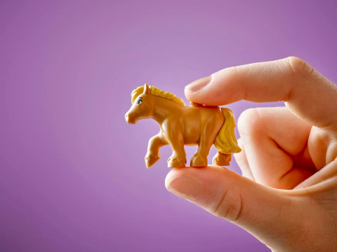 LEGO FRIENDS 42654 PONY RANCH & STABLE - Galeria zdjęcie 12